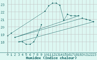Courbe de l'humidex pour Trapani / Birgi