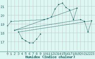 Courbe de l'humidex pour Stabroek