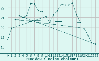 Courbe de l'humidex pour Voorschoten