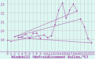 Courbe du refroidissement olien pour Ile d