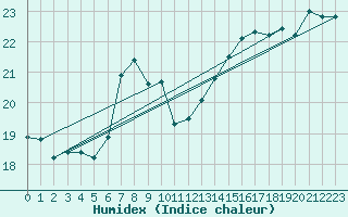 Courbe de l'humidex pour Koszalin