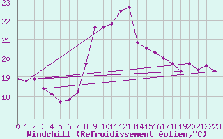 Courbe du refroidissement olien pour Zeebrugge
