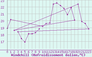 Courbe du refroidissement olien pour Ile du Levant (83)