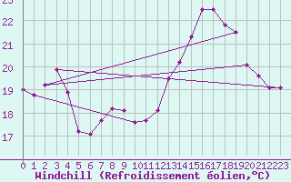 Courbe du refroidissement olien pour Cavalaire-sur-Mer (83)