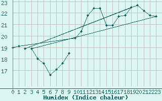 Courbe de l'humidex pour Munte (Be)