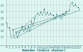 Courbe de l'humidex pour Murcia / San Javier