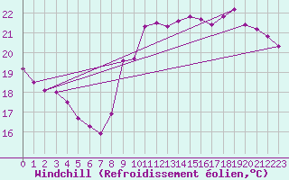 Courbe du refroidissement olien pour Le Touquet (62)
