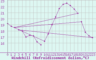 Courbe du refroidissement olien pour Rochefort Saint-Agnant (17)