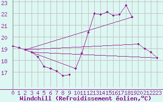 Courbe du refroidissement olien pour Sainte-Genevive-des-Bois (91)