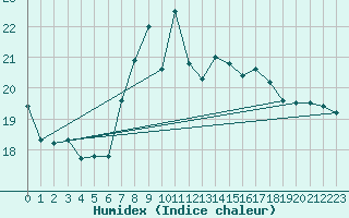 Courbe de l'humidex pour Tarifa