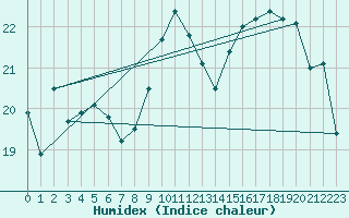 Courbe de l'humidex pour Lige Bierset (Be)