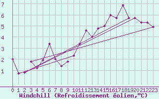 Courbe du refroidissement olien pour Viseu