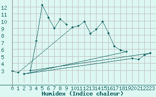 Courbe de l'humidex pour Fargues-sur-Ourbise (47)