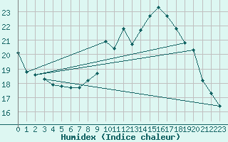 Courbe de l'humidex pour Palic