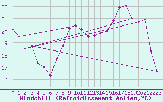 Courbe du refroidissement olien pour Lille (59)