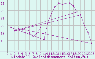 Courbe du refroidissement olien pour Ajaccio - Campo dell