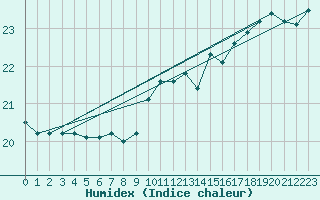 Courbe de l'humidex pour Cap de la Hague (50)