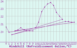 Courbe du refroidissement olien pour Machichaco Faro