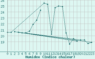 Courbe de l'humidex pour Kocelovice