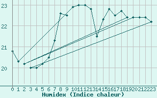 Courbe de l'humidex pour Negotin