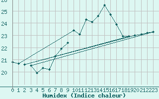 Courbe de l'humidex pour Ble - Binningen (Sw)