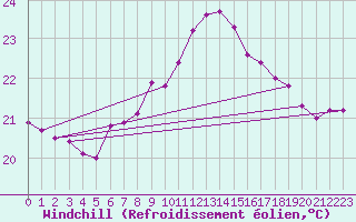 Courbe du refroidissement olien pour Machichaco Faro