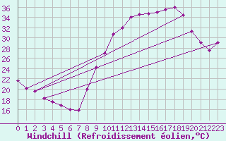 Courbe du refroidissement olien pour Kleine-Brogel (Be)
