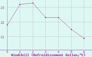 Courbe du refroidissement olien pour Moue Ile Des Pins