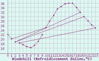 Courbe du refroidissement olien pour Zamora
