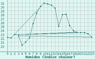 Courbe de l'humidex pour Lahr (All)