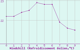 Courbe du refroidissement olien pour Gannet Cay