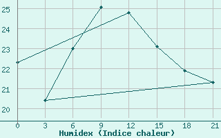 Courbe de l'humidex pour Pochinok