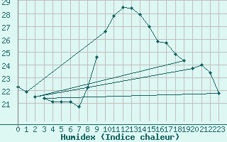 Courbe de l'humidex pour Murcia