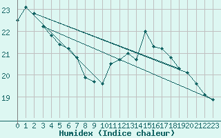 Courbe de l'humidex pour Altenrhein