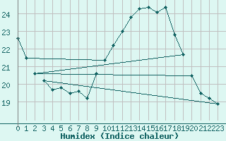 Courbe de l'humidex pour Bujarraloz