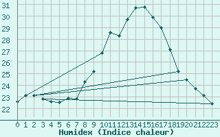 Courbe de l'humidex pour Ble - Binningen (Sw)