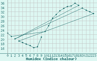 Courbe de l'humidex pour Sorgues (84)