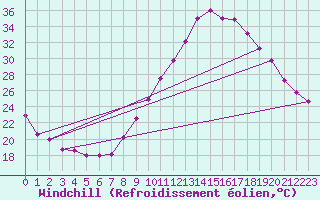Courbe du refroidissement olien pour Albi (81)