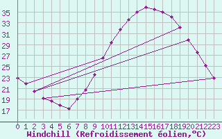 Courbe du refroidissement olien pour Zamora