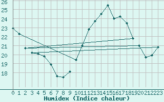 Courbe de l'humidex pour Puissalicon (34)