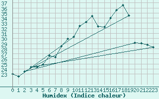 Courbe de l'humidex pour Machichaco Faro