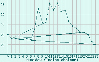 Courbe de l'humidex pour Punta Galea