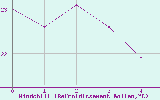 Courbe du refroidissement olien pour Feira De Santana