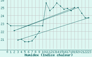 Courbe de l'humidex pour Belfort-Dorans (90)