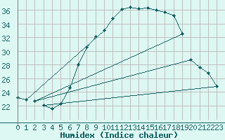 Courbe de l'humidex pour Mhleberg