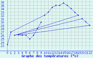 Courbe de tempratures pour Ouargla