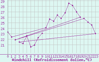 Courbe du refroidissement olien pour Ile du Levant (83)