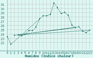 Courbe de l'humidex pour Radauti