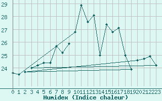 Courbe de l'humidex pour Radauti
