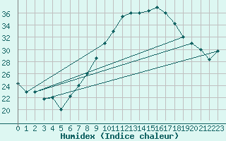Courbe de l'humidex pour Chlef